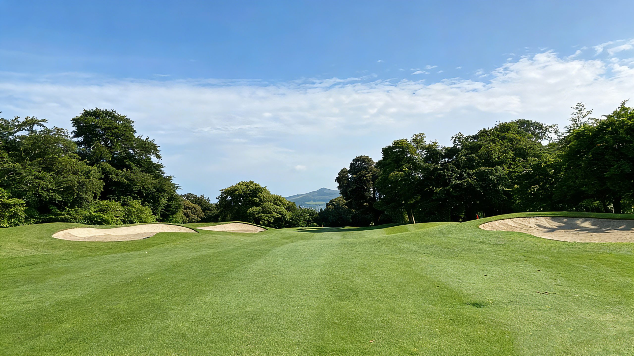 HE, index:  (desktop)